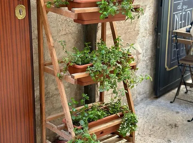 Arco Meraviglia House