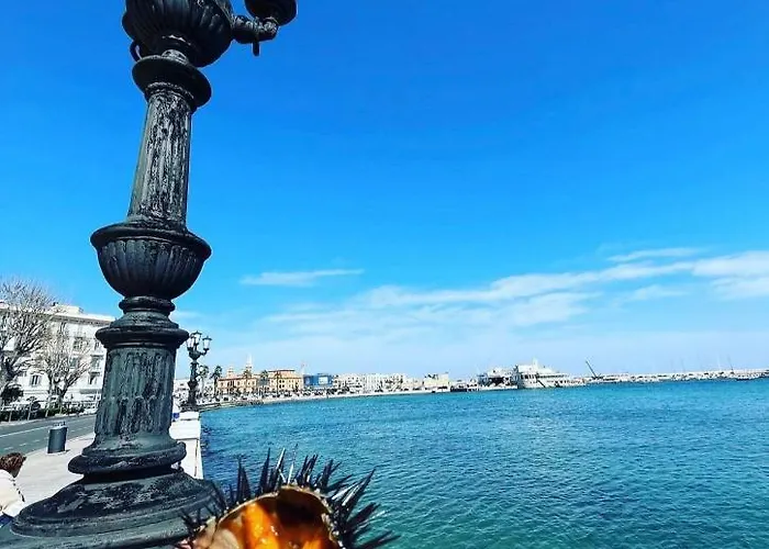 Arco Meraviglia House