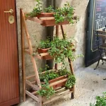 Arco Meraviglia House
