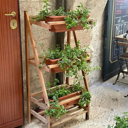 Arco Meraviglia House