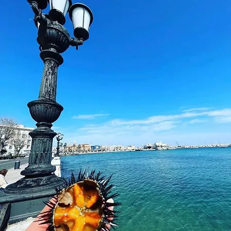 Arco Meraviglia House